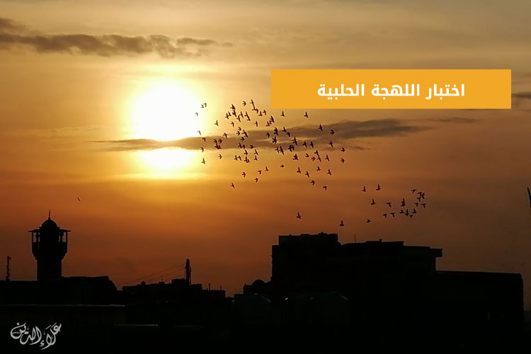 اختبار اللهجة المطيرية