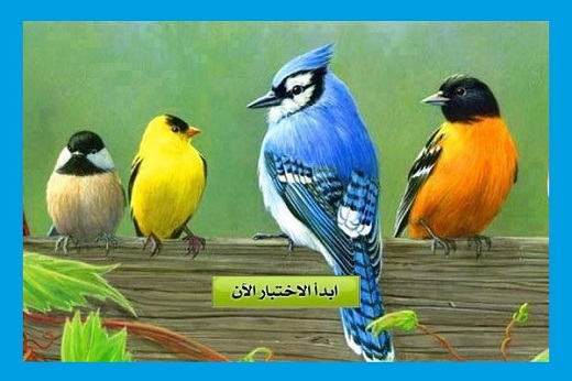 أي من أصوات الطيور يشبه صوتك ؟ 9958362845