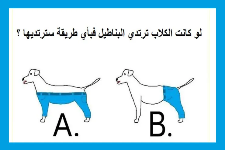 فلسفتك في الحياة