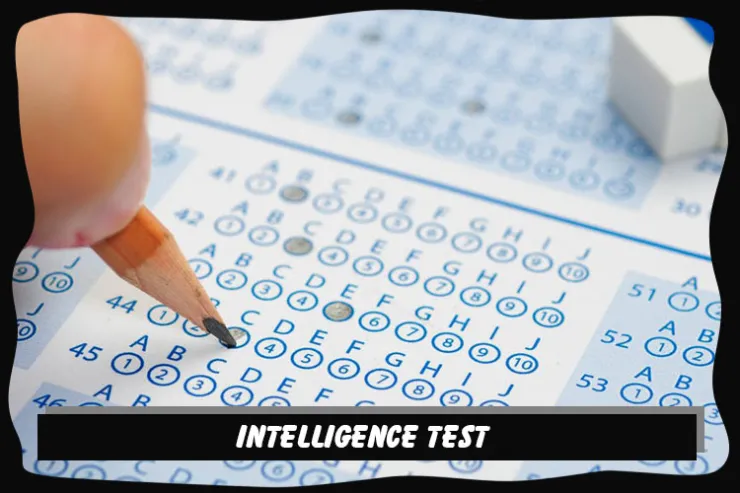 Intelligence Test