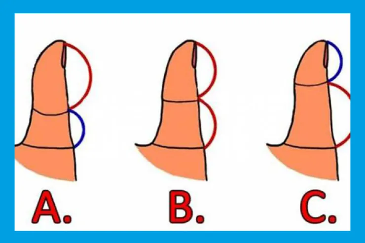 طول إصبعك يكشف حياتك العاطفية