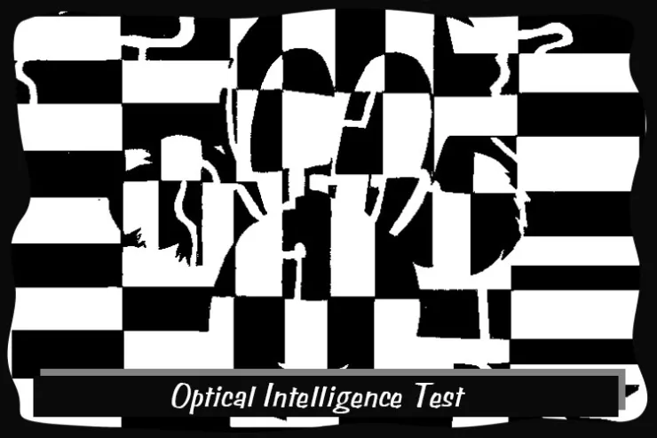 Optical Intelligence Test