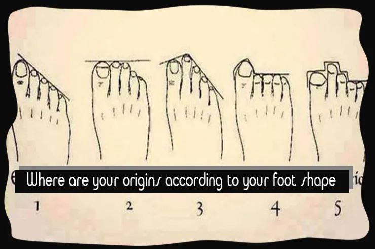 Where are your origins according to your foot shape?