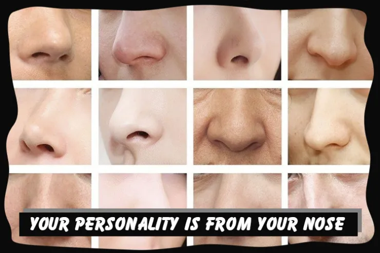 Your personality is from your nose