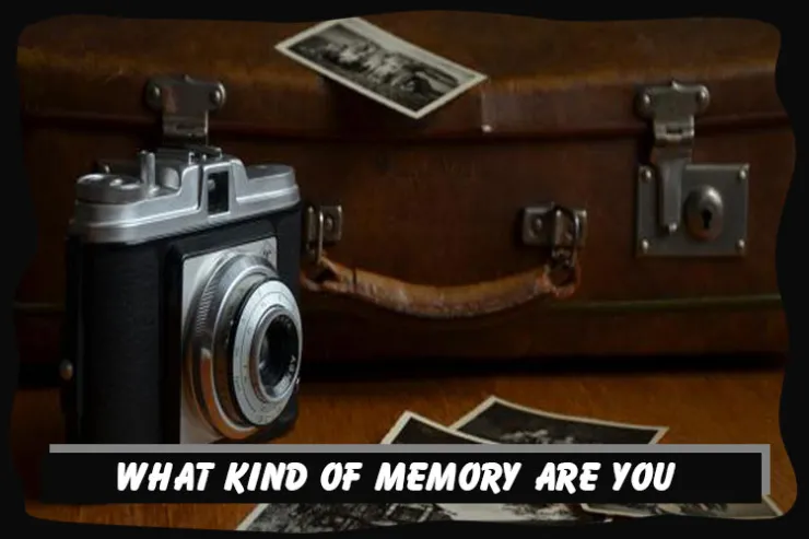 What kind of memory are you?