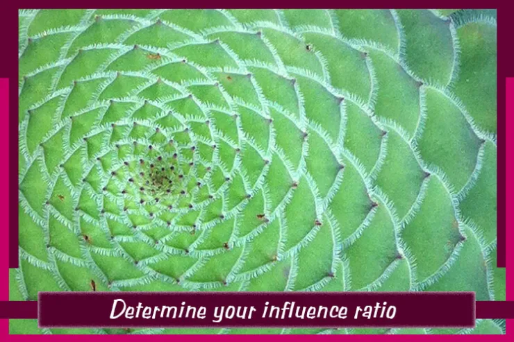 Determine your influence ratio