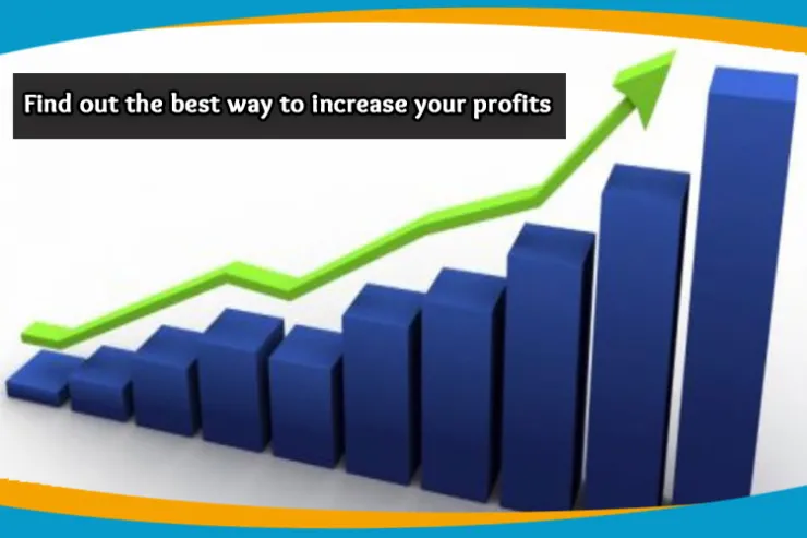 Find out the best way to increase your profits