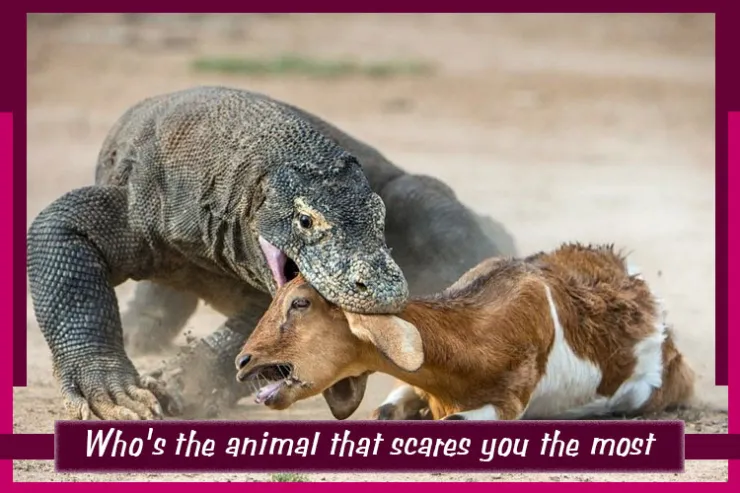 Who's the animal that scares you the most?