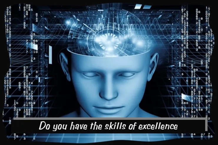 Do you have the skills of excellence?