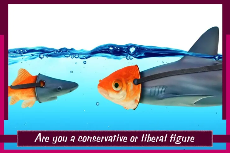Are you a conservative or liberal figure?
