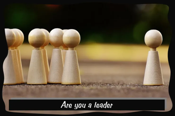 Are you a leader?