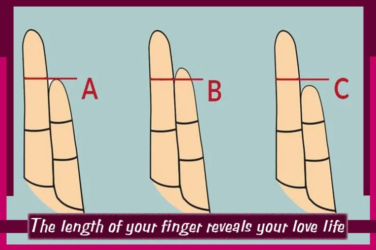The length of your finger reveals your love life