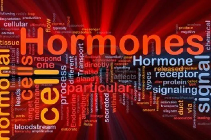 اختبر معلوماتك حول الهرمونات