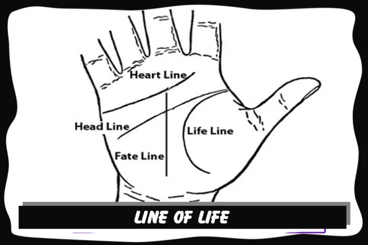 Line of Life