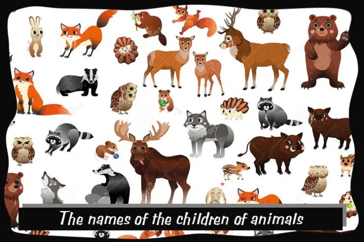 The names of the children of animals