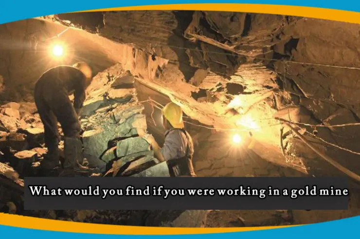 If you were work in a gold mine, what will you find?
