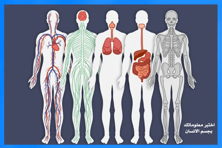اختبر معلوماتك عن جسم الإنسان