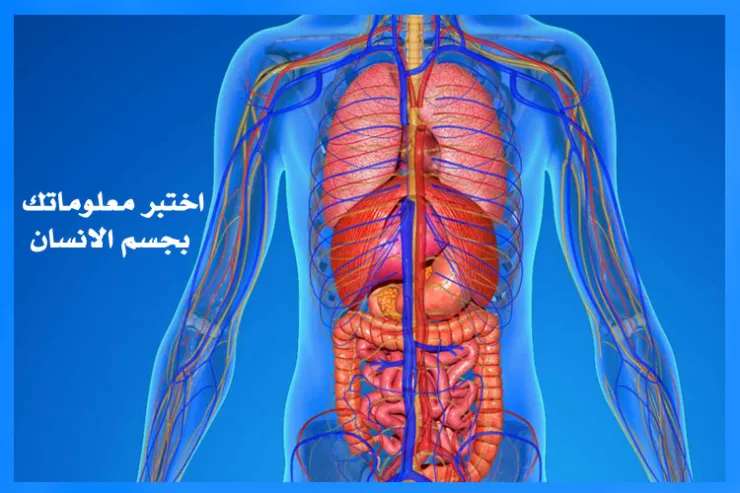 اختبر معرفتك بجسم الإنسان