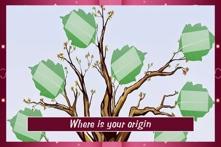 Where is your origin?