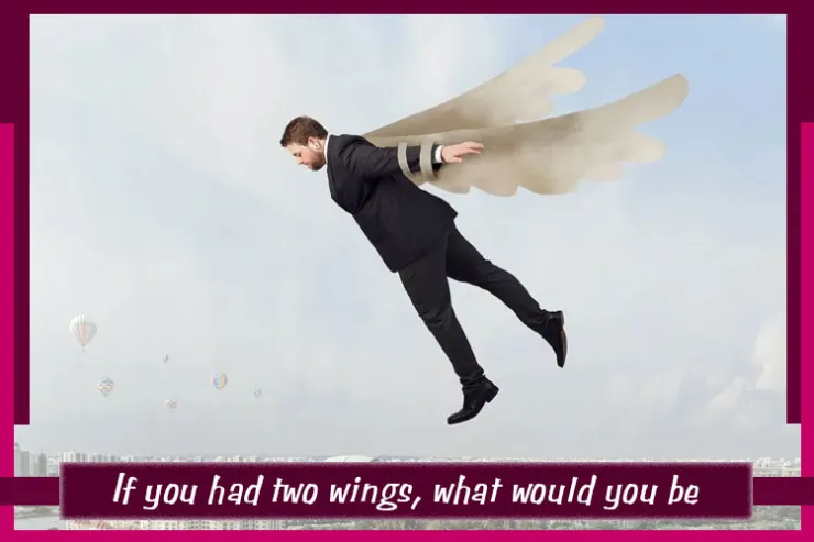 If you had two wings, what would you be?