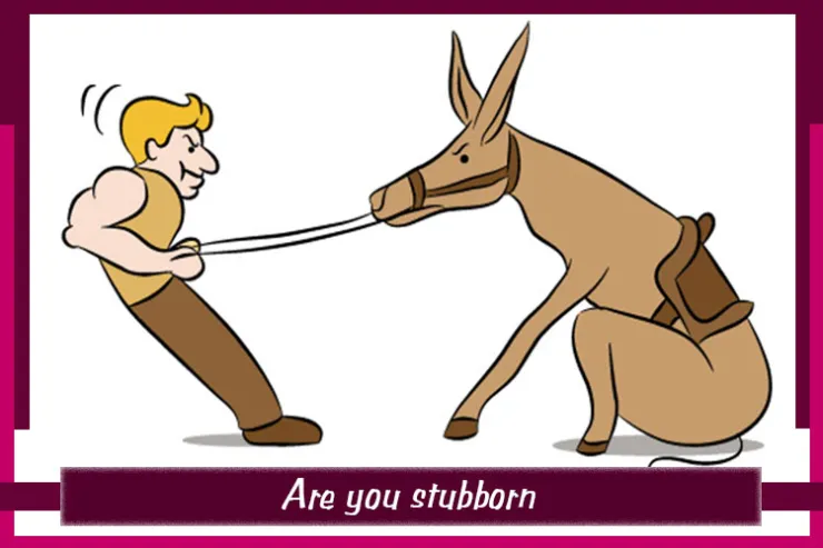 Are you stubborn?