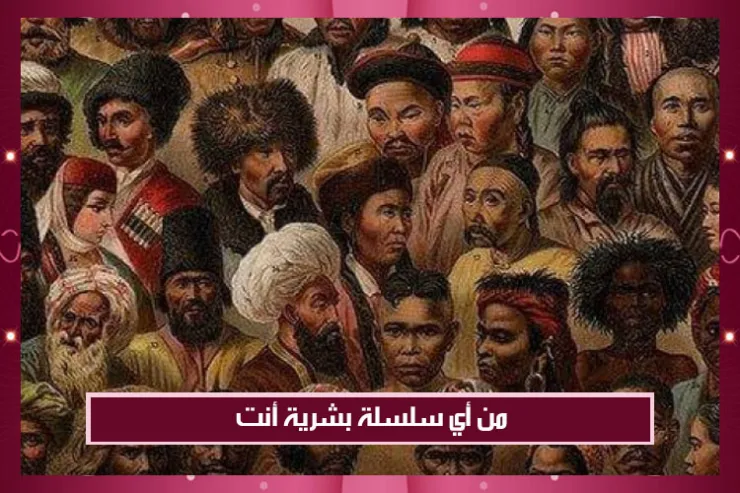 من أي سلسلة بشرية أنت