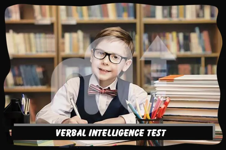 Verbal Intelligence Test