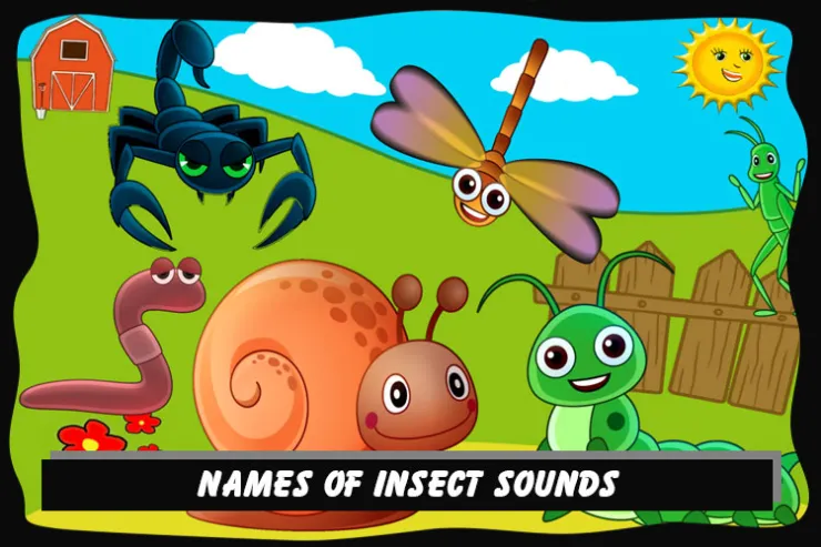 Names of insect sounds