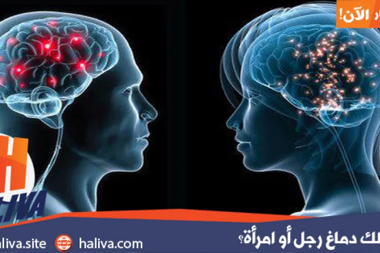 هل تملك دماغ رجل أو امرأة؟ اختبر نفسك واعرف جنس دماغك