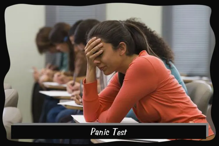 Panic Test