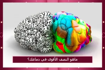 ماهو النصف الأقوى في دماغك ؟